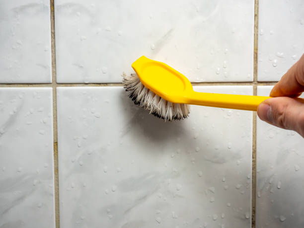 Best Mold Testing  in Wells, MN